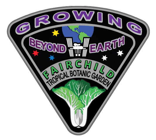 Growing Beyond Earth® Mission Patches (pack of 10)